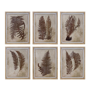 Fern Print
