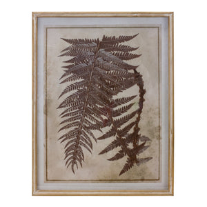Fern Print