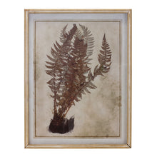 Load image into Gallery viewer, Fern Print
