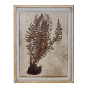 Fern Print