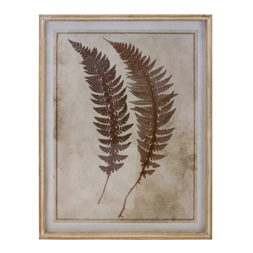 Fern Print