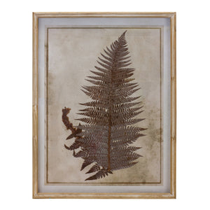 Fern Print