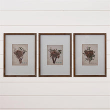 Load image into Gallery viewer, Nest Bird Framed Print
