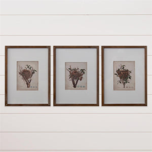 Nest Bird Framed Print