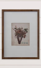Load image into Gallery viewer, Nest Bird Framed Print
