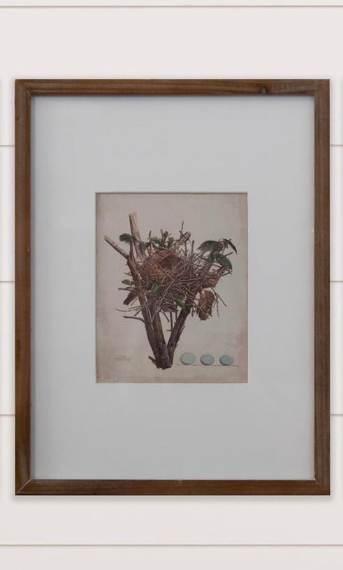Nest Bird Framed Print