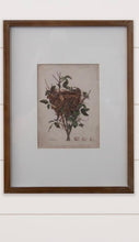 Load image into Gallery viewer, Nest Bird Framed Print
