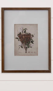 Nest Bird Framed Print
