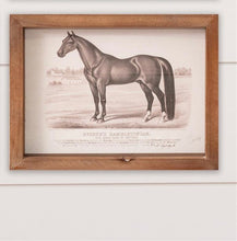 Load image into Gallery viewer, Horse Champions Print
