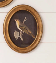 Load image into Gallery viewer, Gold Bird Print
