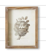 Load image into Gallery viewer, Framed Nest Print
