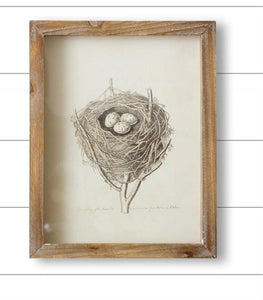 Framed Nest Print