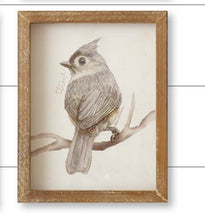 Load image into Gallery viewer, Named Bird Prints
