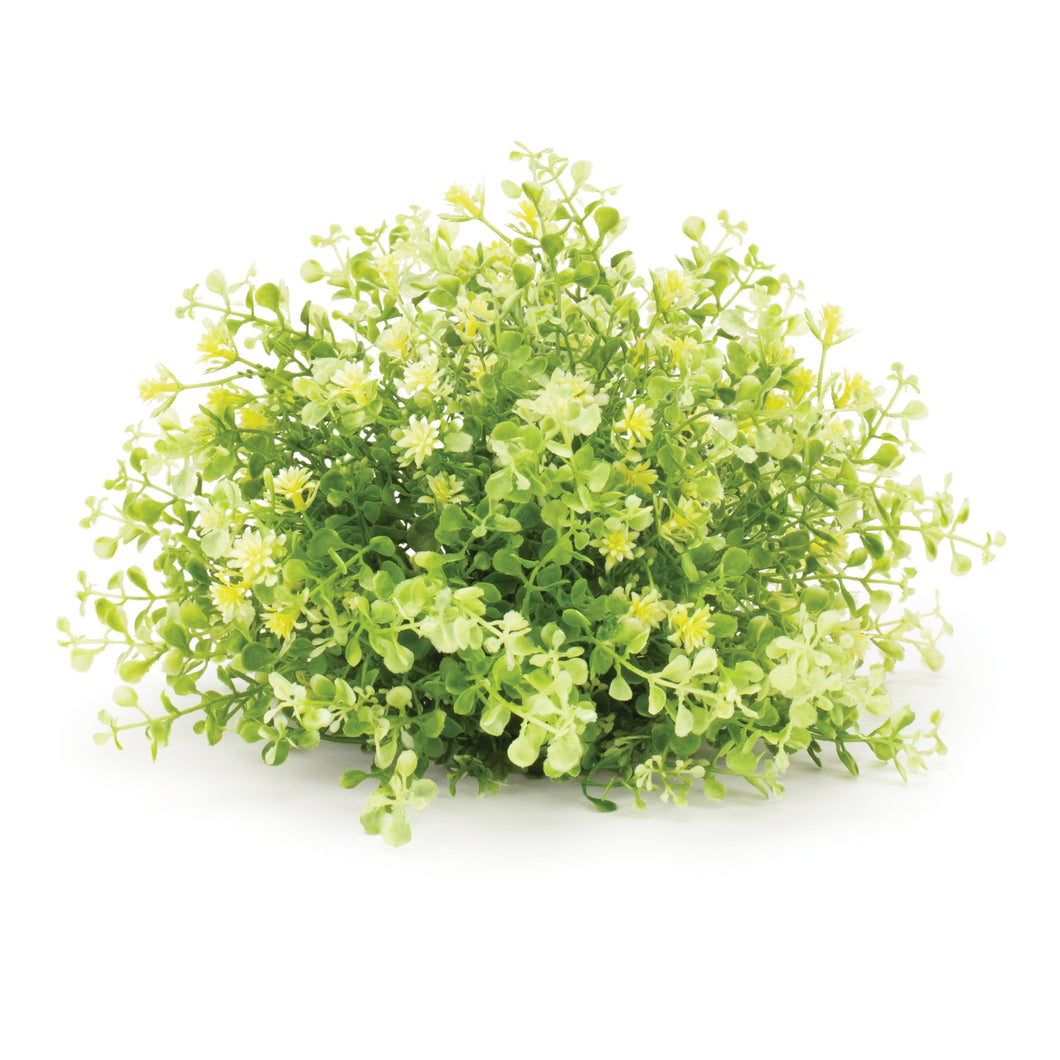 Flowering Half Orb