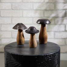 Load image into Gallery viewer, Mushroom
