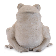 Load image into Gallery viewer, Hoppity Frog
