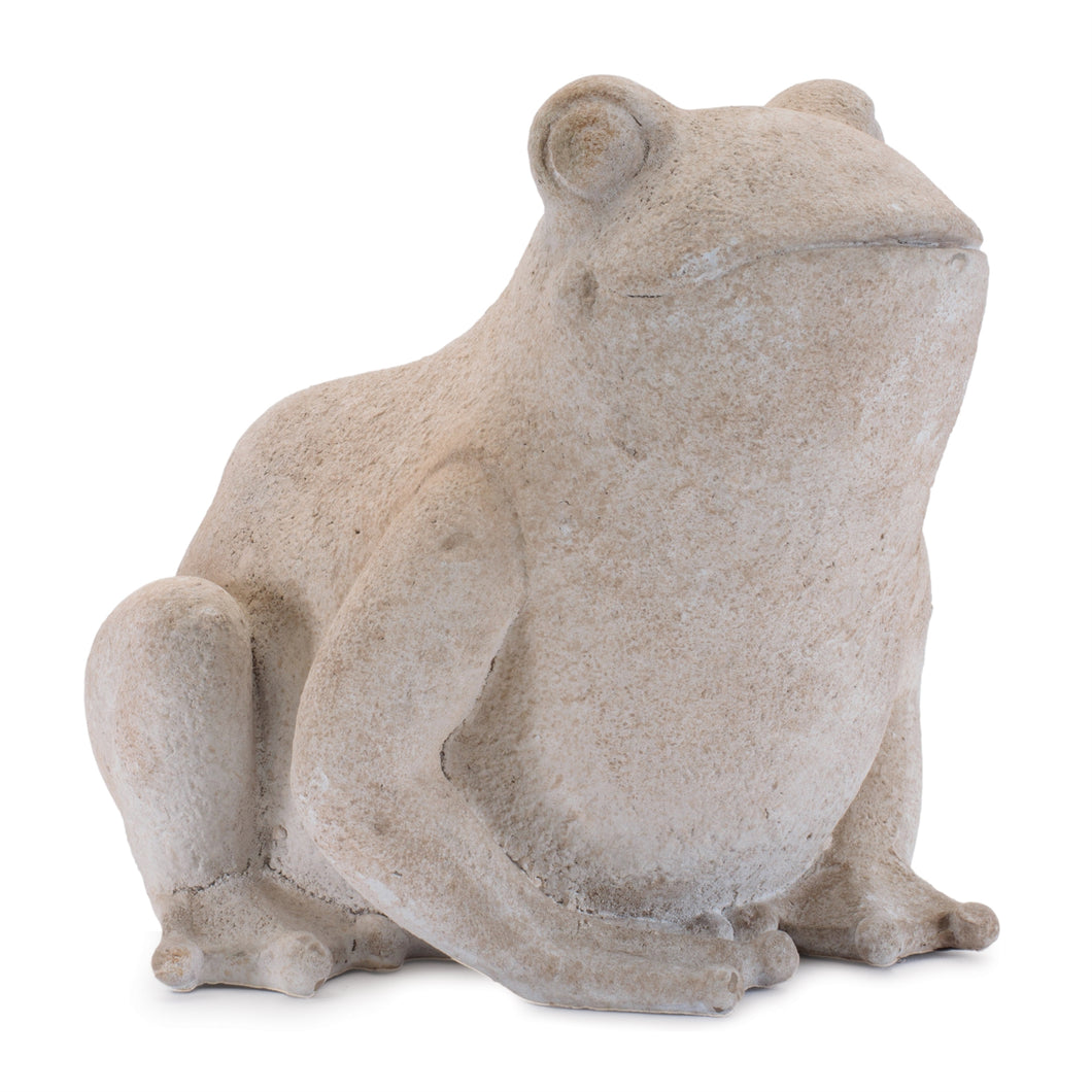 Hoppity Frog