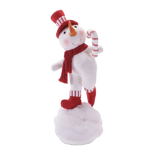 Mr. Snowball Snowman