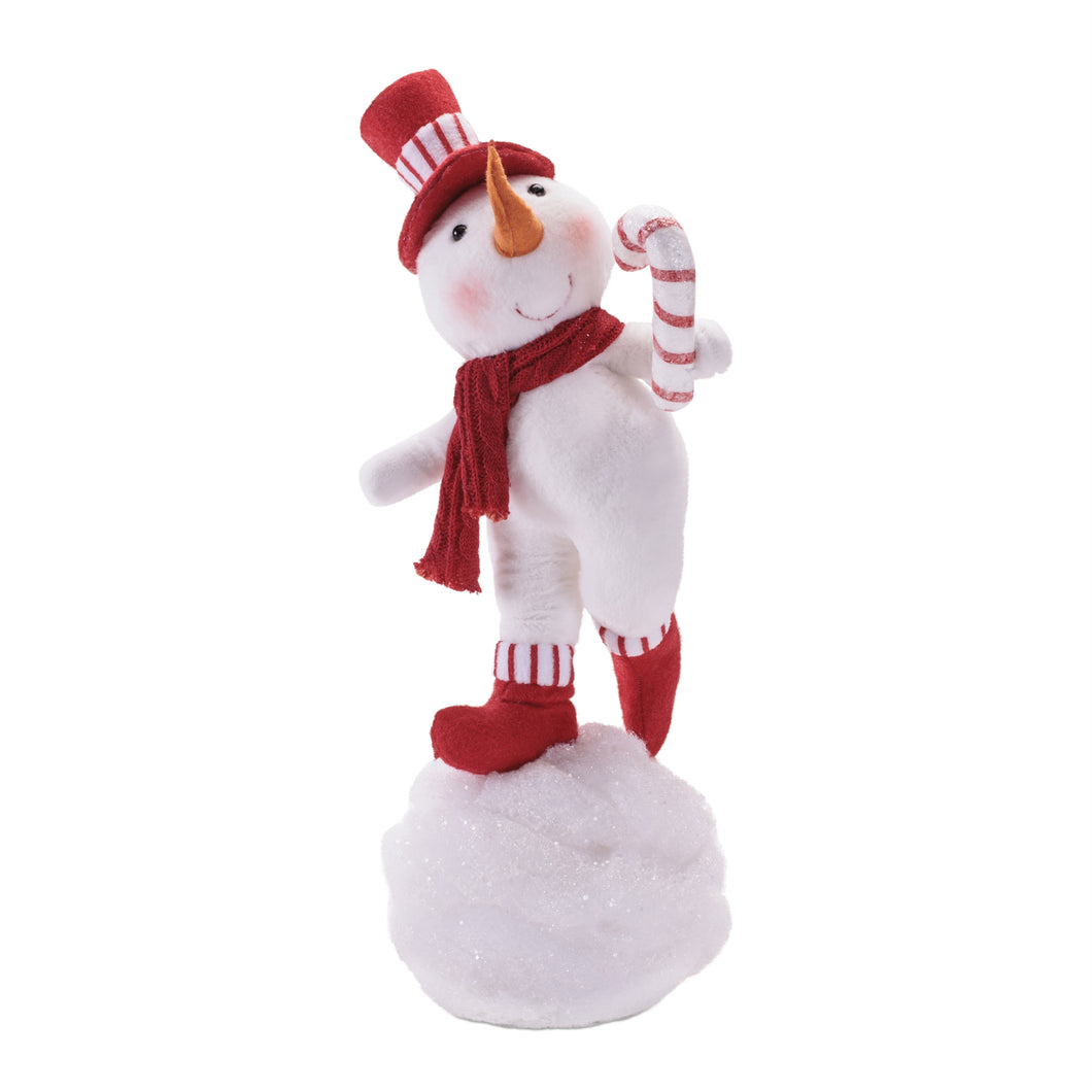 Mr. Snowball Snowman