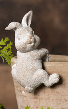 Load image into Gallery viewer, Bunny Pot Hanger
