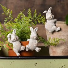 Load image into Gallery viewer, Bunny Pot Hanger
