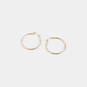 Twisted Hoop Earrings