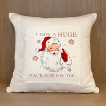 Load image into Gallery viewer, Big Package Pillow
