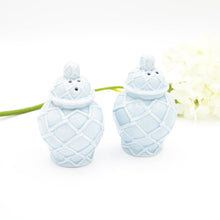 Load image into Gallery viewer, Light Blue Jar Salt &amp; Pepper Shaker
