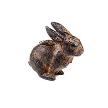 Load image into Gallery viewer, Caste Iron Rabbit
