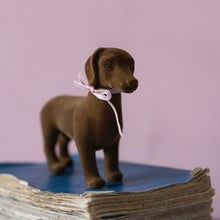 Load image into Gallery viewer, Daisy Dachshund
