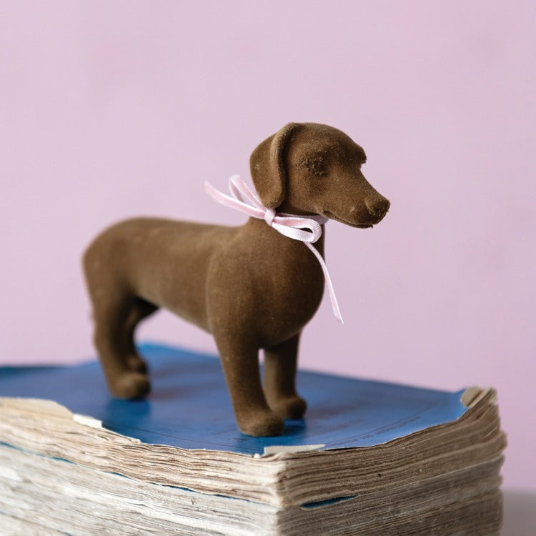 Daisy Dachshund