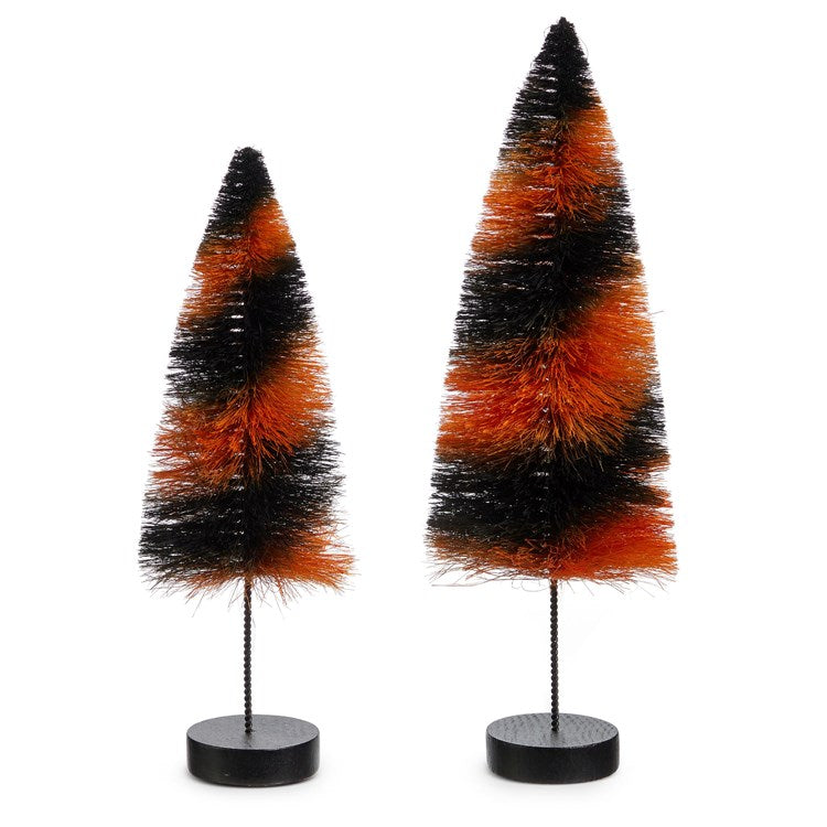 Black and Orange Bottle Brush Tree