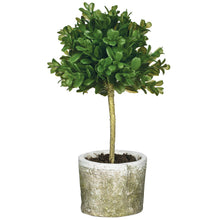 Load image into Gallery viewer, Mini Boxwood Topiary
