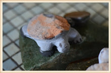 Load image into Gallery viewer, Hand Carved Tommy the Turtle
