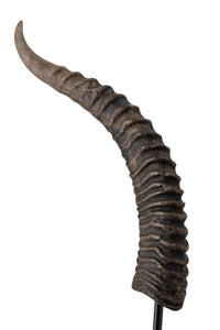 Kasmir Horn Statuary