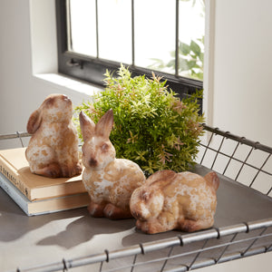 Terracotta Rabbit