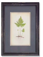 Load image into Gallery viewer, Fern Print

