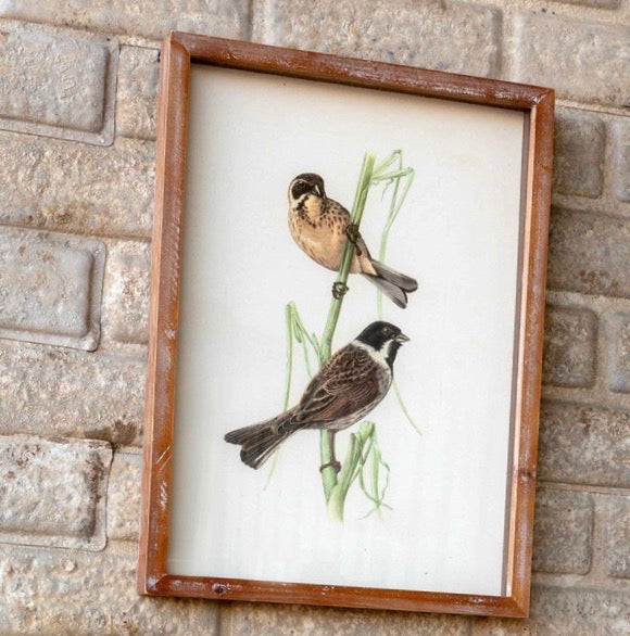 Song Bird or Fauna Print Framed