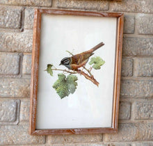 Load image into Gallery viewer, Song Bird or Fauna Print Framed
