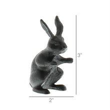 Load image into Gallery viewer, Curious Rabbit
