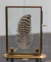 Load image into Gallery viewer, Feather Art
