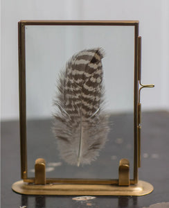 Feather Art