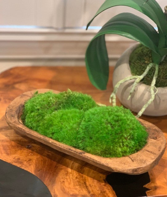 Petite Moss Bowl