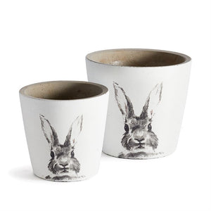 Rabbit Pot